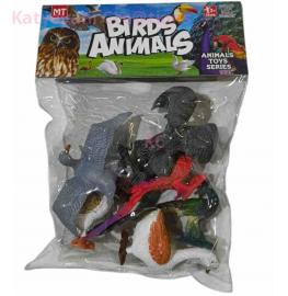 Birds Animals